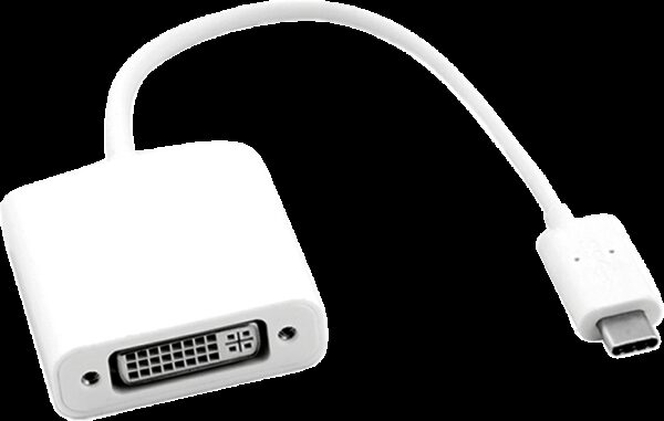ROLINE - Externer Videoadapter - USB Type-C - DVI - Silber
